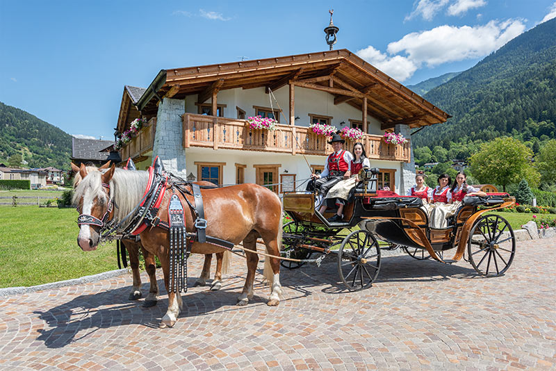 horse carriage farm grisun